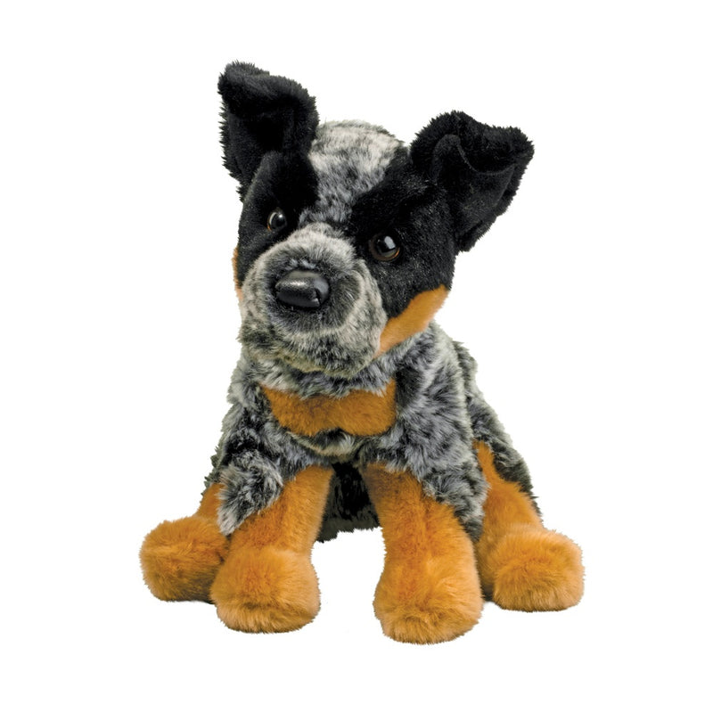 Dexter Australian Cattle Dog - Raymond's Hallmark