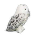 Legend Snowy Owl