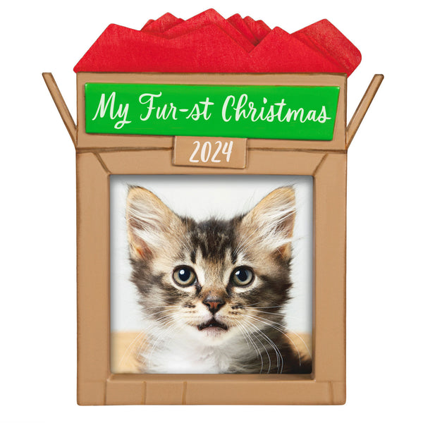 Pets Fur-st Christmas Ornament