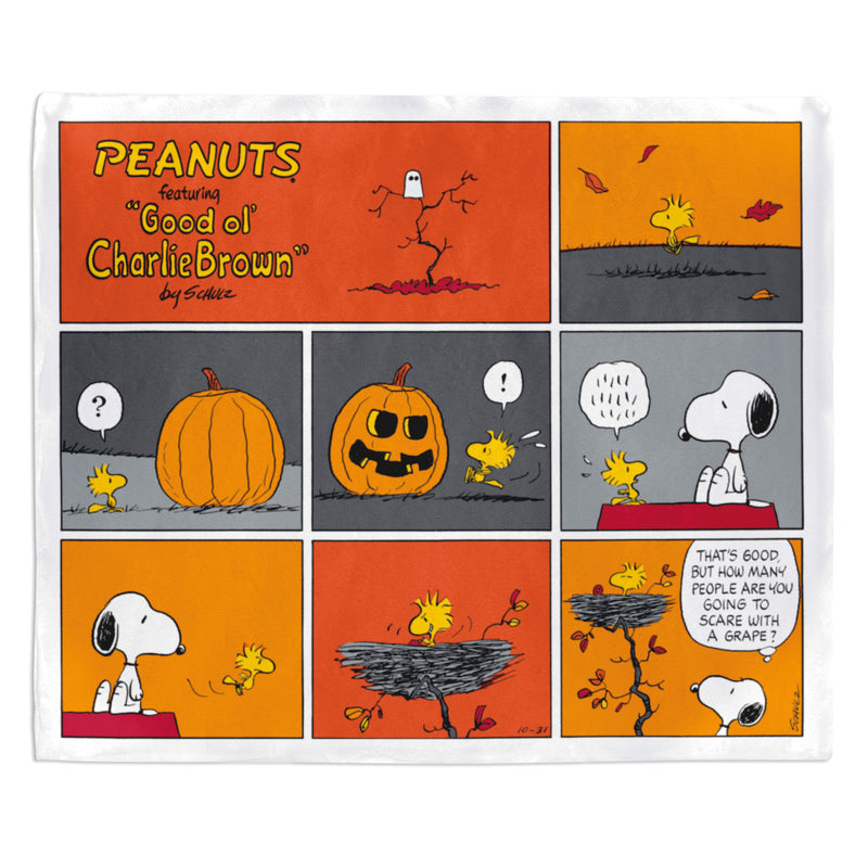 Peanuts Blanket