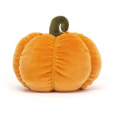 Vivacious Pumpkin