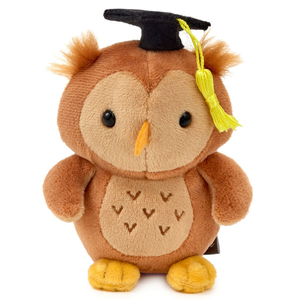 Gift Card Holder Graduation Owl - Raymond's Hallmark